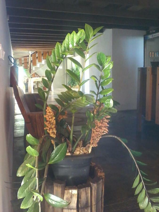 Hotel Pouso D' Braga à Pirenópolis Extérieur photo